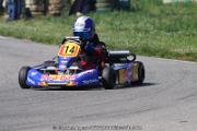 20110501_ales_agnus (1996)